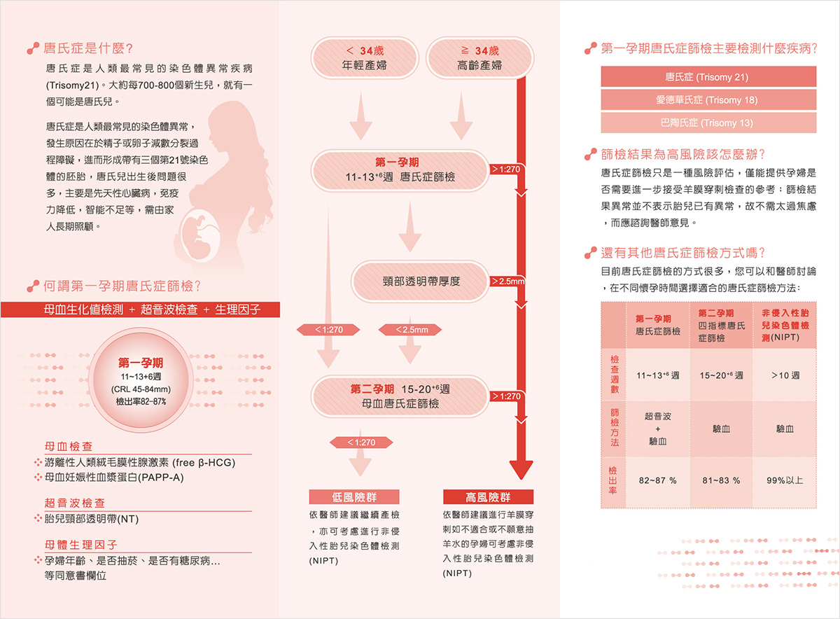 網頁設計,平面設計